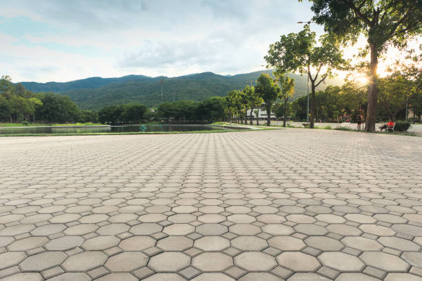 Best Driveway Pavers Near Me  in Albuquerque, NM